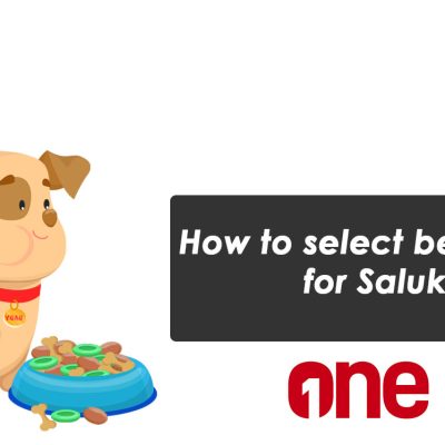 How to select best food for Saluki