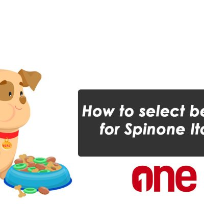 How to select best food for Spinone Italiano