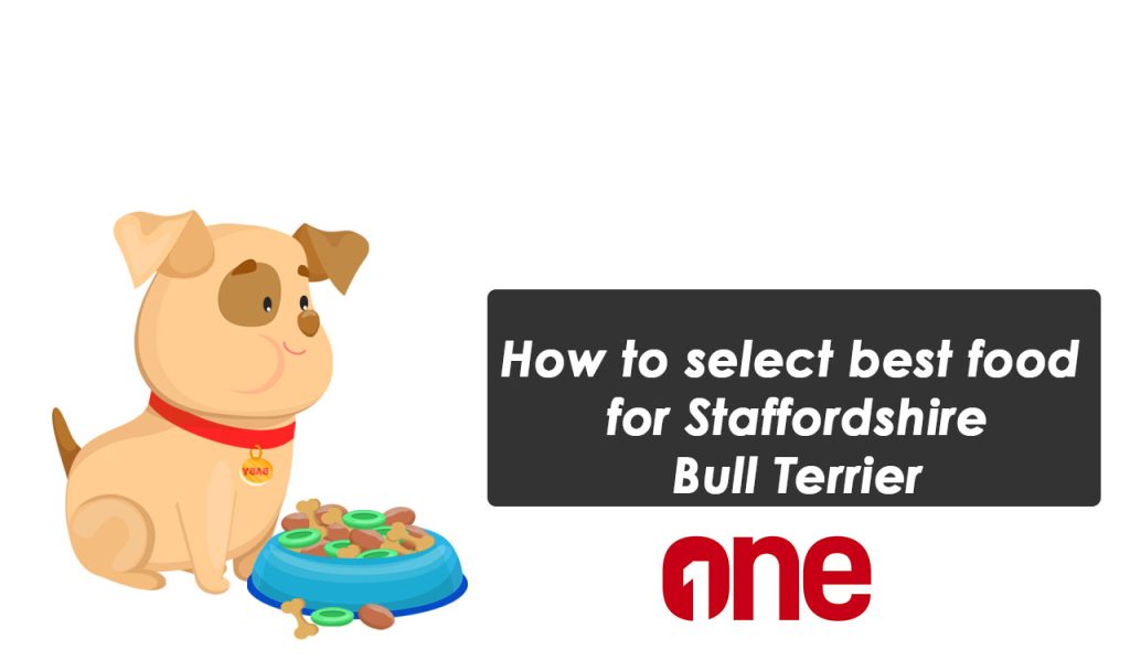 How to select best food for Staffordshire Bull Terrier