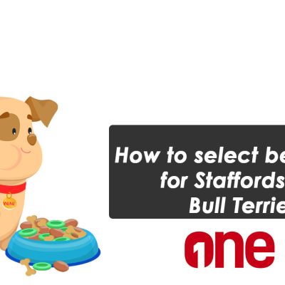 How to select best food for Staffordshire Bull Terrier