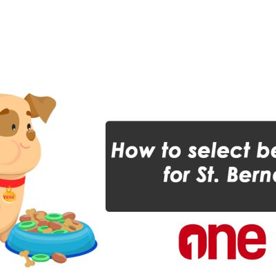 How to select best food for St. Bernard