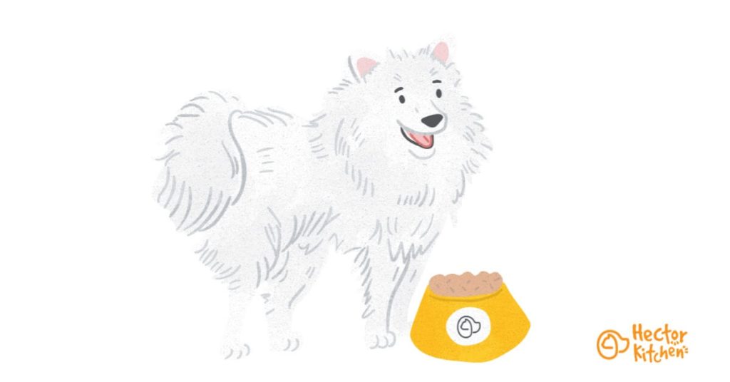 Decoding the Dietary Dilemma for Samoyed