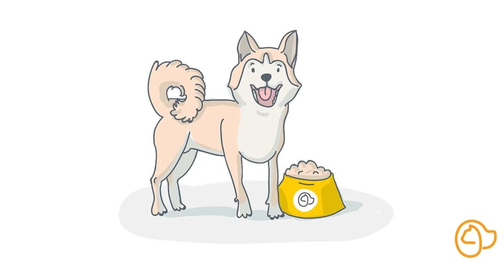 Decoding the Dietary Dilemma for Shiba Inu