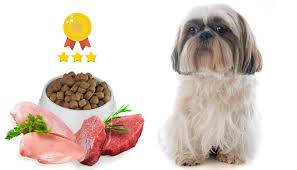 Choosing the Right Commercial Food for Shih Tzu