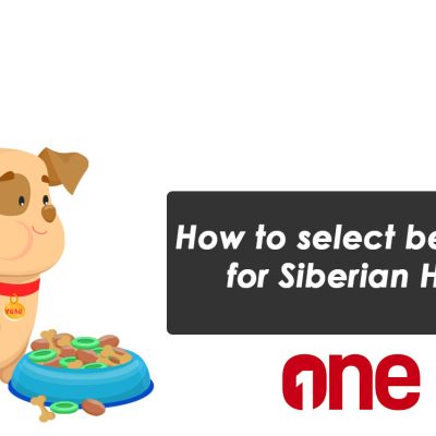 How to select best food for Siberian Husky
