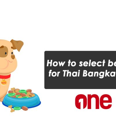 How to select best food for Thai Bangkaew Dog