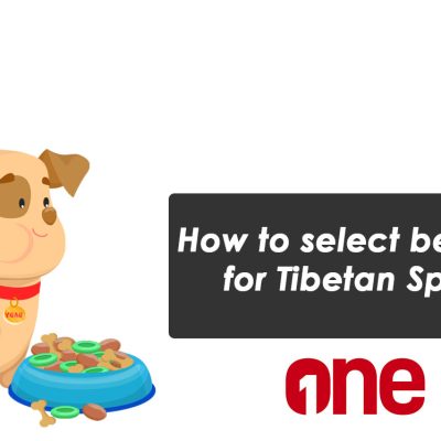 How to select best food for Tibetan Spaniel