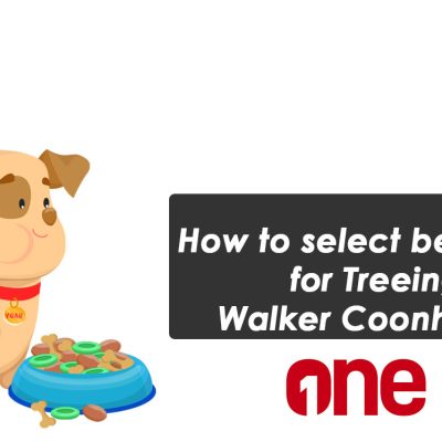 How to select best food for Treeing Walker Coonhound