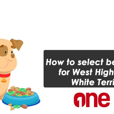 How to select best food for West Highland White Terrier