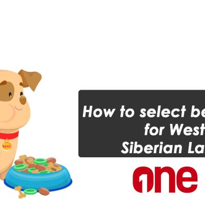How to select best food for West Siberian Laika